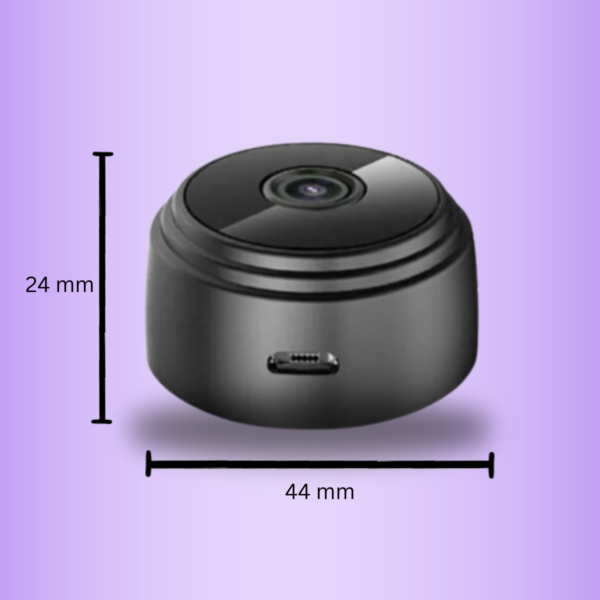 1724806313-11.png